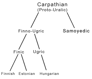 Carpathian Family Tree