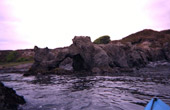 Mendocino Coast