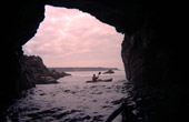 Mendocino Coast