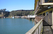 Mendocino Coast