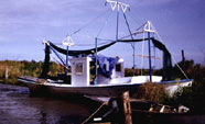 Shrimp Boat