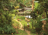 Hill Village (C) Bill Yeaton