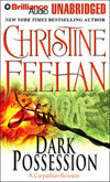 Dark Possession Audio Book Format!