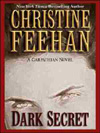 Dark Secret Large Print Hardcover