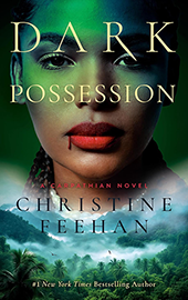 Dark Possession E-Book